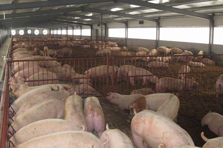 養(yǎng)殖場(chǎng)適合用紫外線消毒燈嗎？