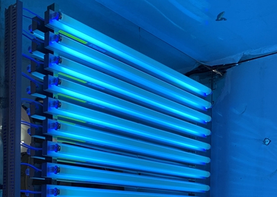 如何通過(guò)UV紫外光照實(shí)驗(yàn)箱構(gòu)建動(dòng)物皮膚光老化模型？